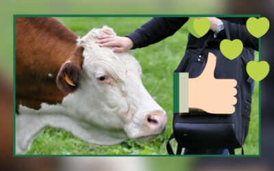 Votez pour l’OABA et faites grandir notre combat, avec le Prix Coup de pouce des internautes !