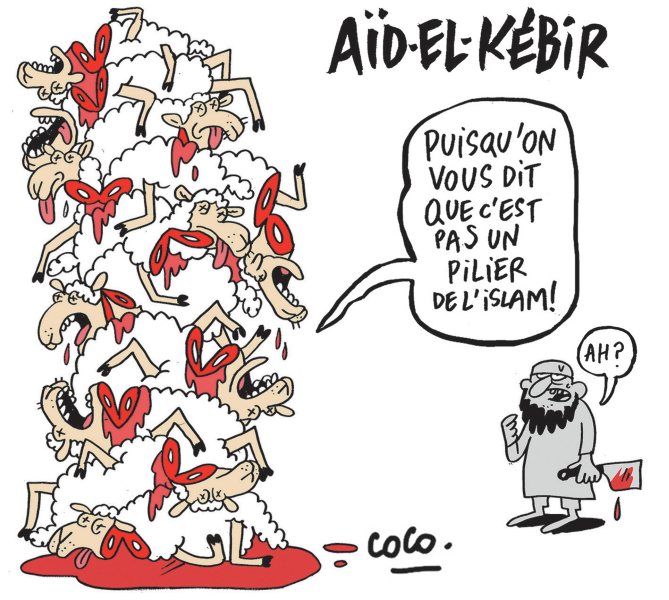 1513-13-coco-aidelkebir