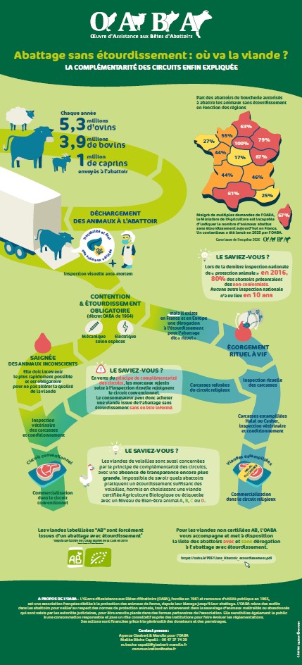 infographie image