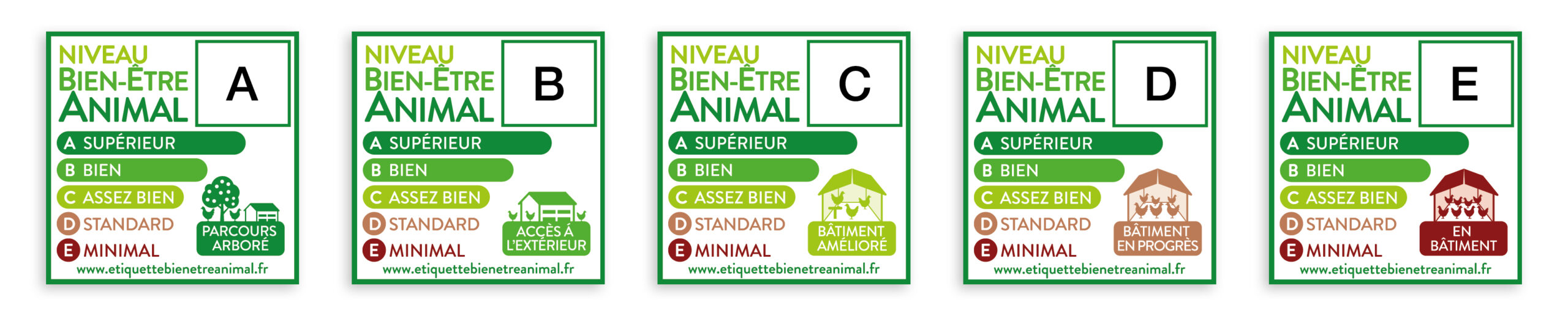 EBEA 5 Etiquettes poulet chair
