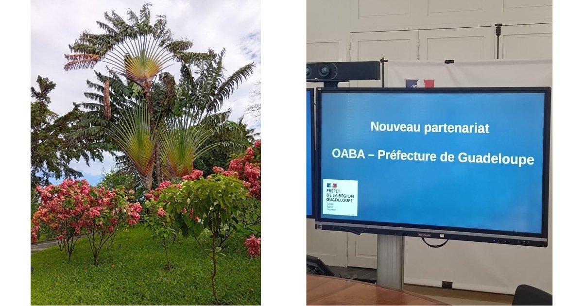 image pour partage lien oaba 1200630 (1)