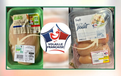 Bien-être animal et transparence : pour la première fois, les consommateurs peuvent comparer tous les produits en rayon, du niveau A jusqu’au niveau E