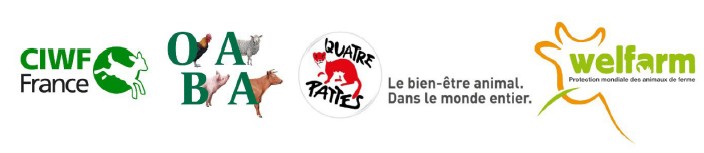 logos ong